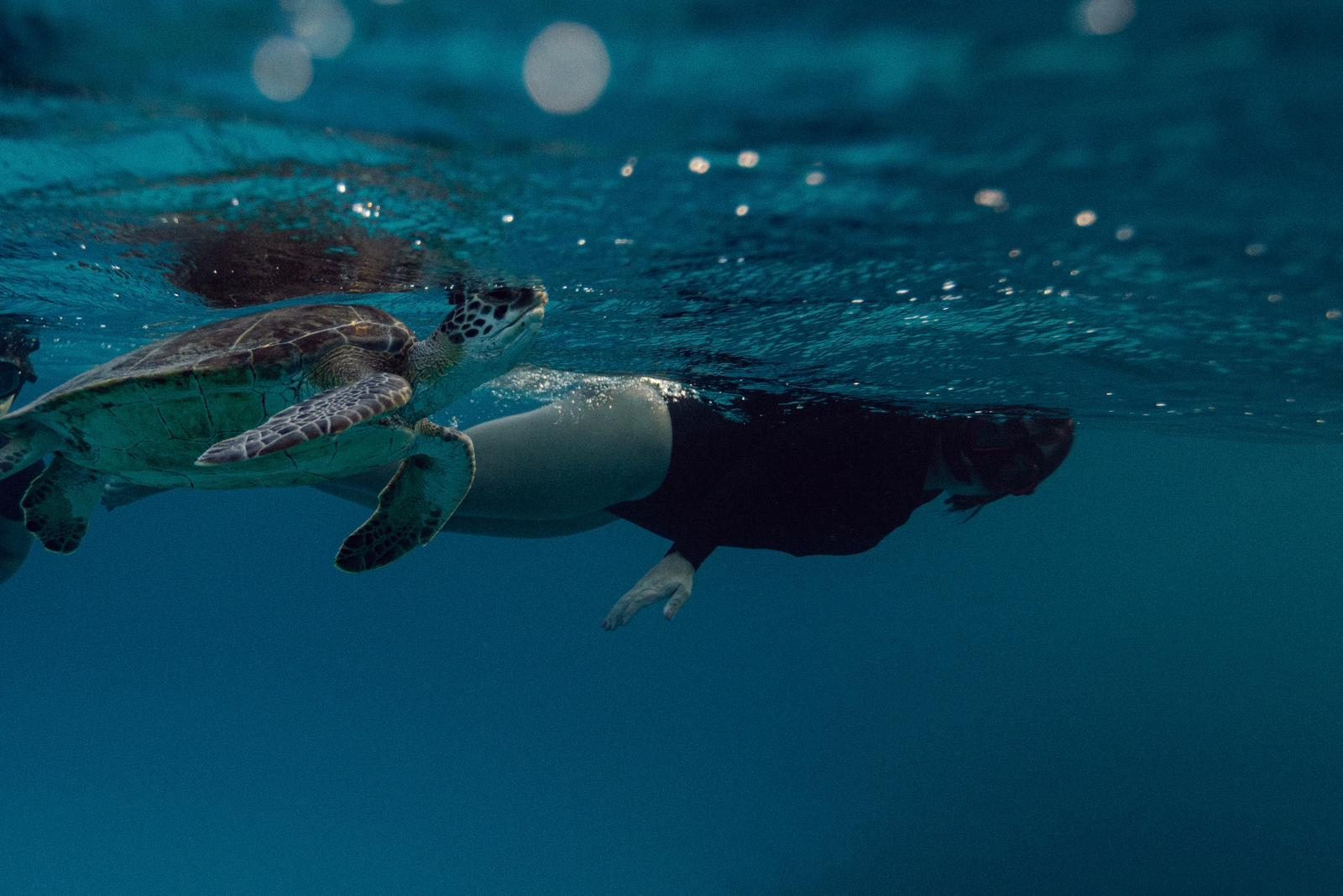 Underwater videography session